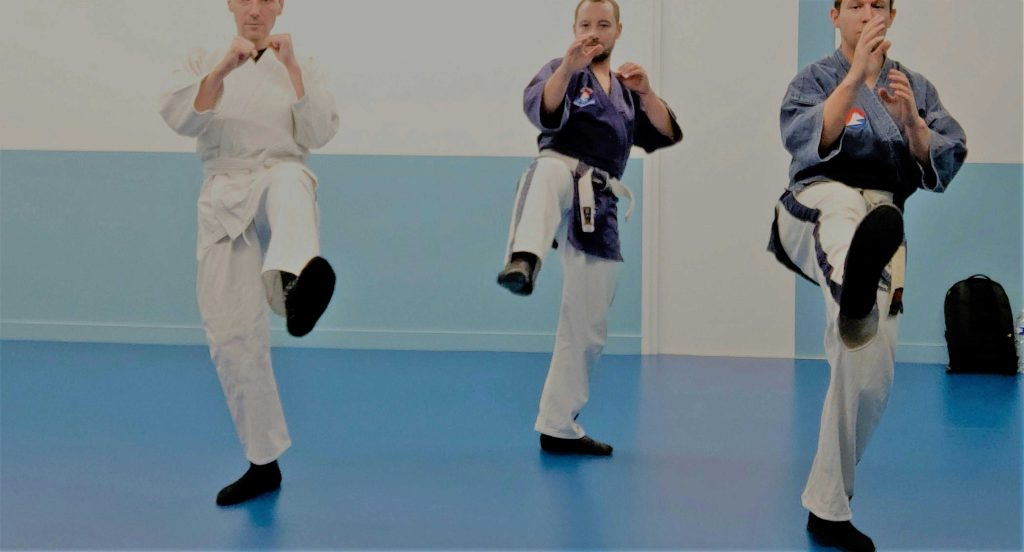 Séance de cardio-training Yoseikan
