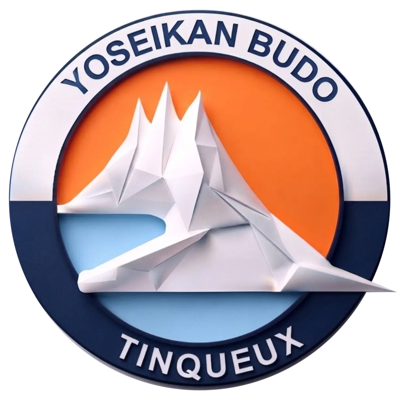 Logo Yoseikan Budo Tinqueux